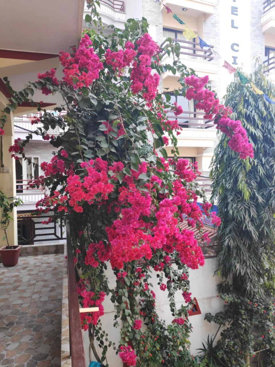 Hotel Angel Pokhara Kültér fotó
